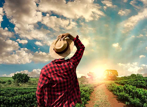 今日看点 - 咪咕体育直播
