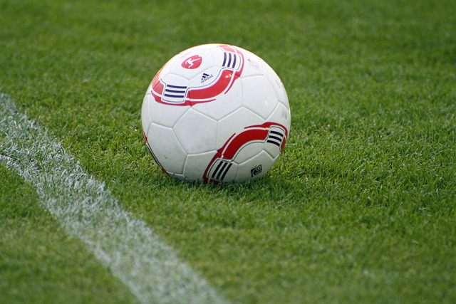 更好的观赛 更好的观赛