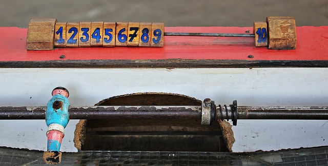 越南的案例 越南的案例