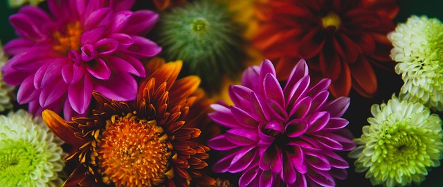 略占上风 略占上风