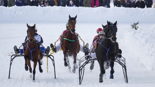 全队的团结 全队的团结