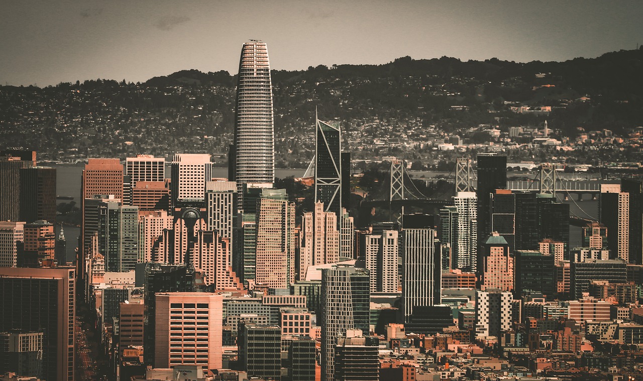 比利时队的 比利时队的