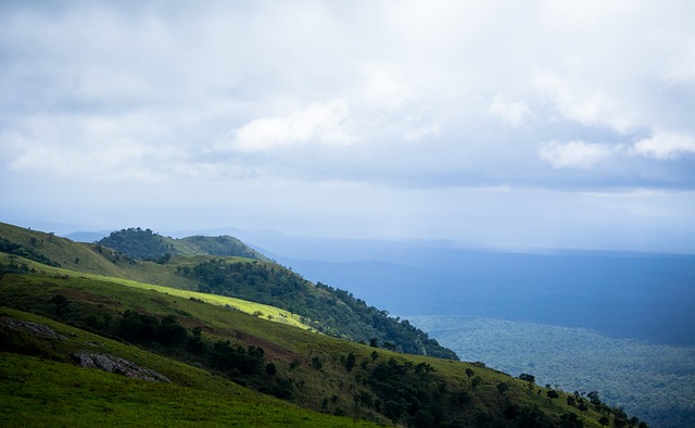 因延期至 因延期至