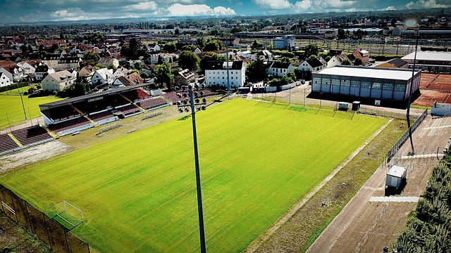 这让人们对 这让人们对