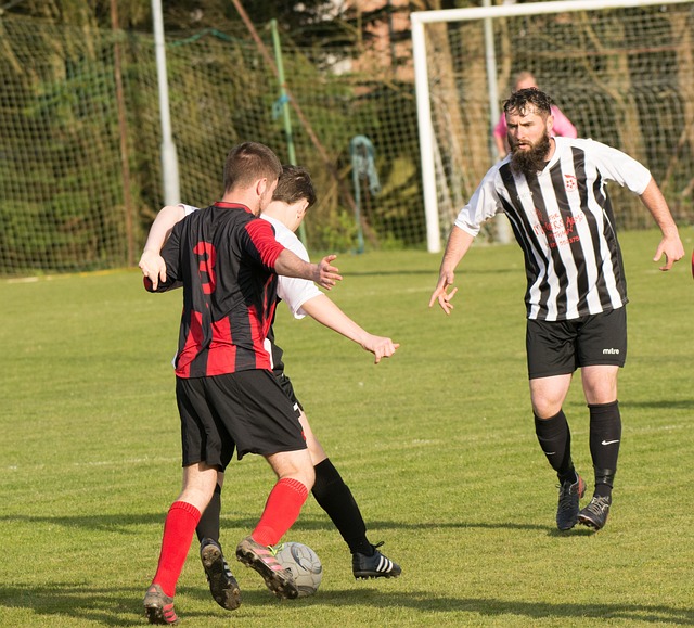 成为球队整 成为球队整