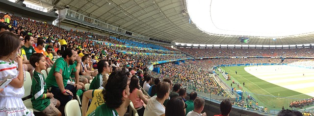办城市